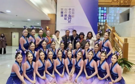 中国舞蹈论坛,中国舞蹈论坛汇聚艺术魅力与传承精神