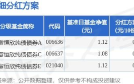 纯债券型基金,稳健投资之道”