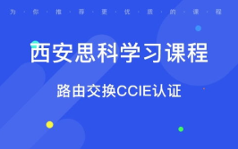 西安ccna培训,开启网络技术职业生涯的敲门砖