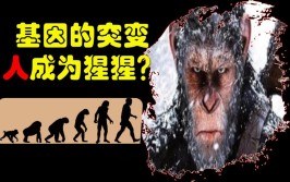 基因突变与遗传病：遗传病是何如从一代传到下一代的，【天气地舆】天气突变与古文雅兴衰及对今世的开辟、什么是“环球4A季风区”？，atp是什么药，股市必读：北汽蓝谷（600733）4月30日董秘有最新恢复